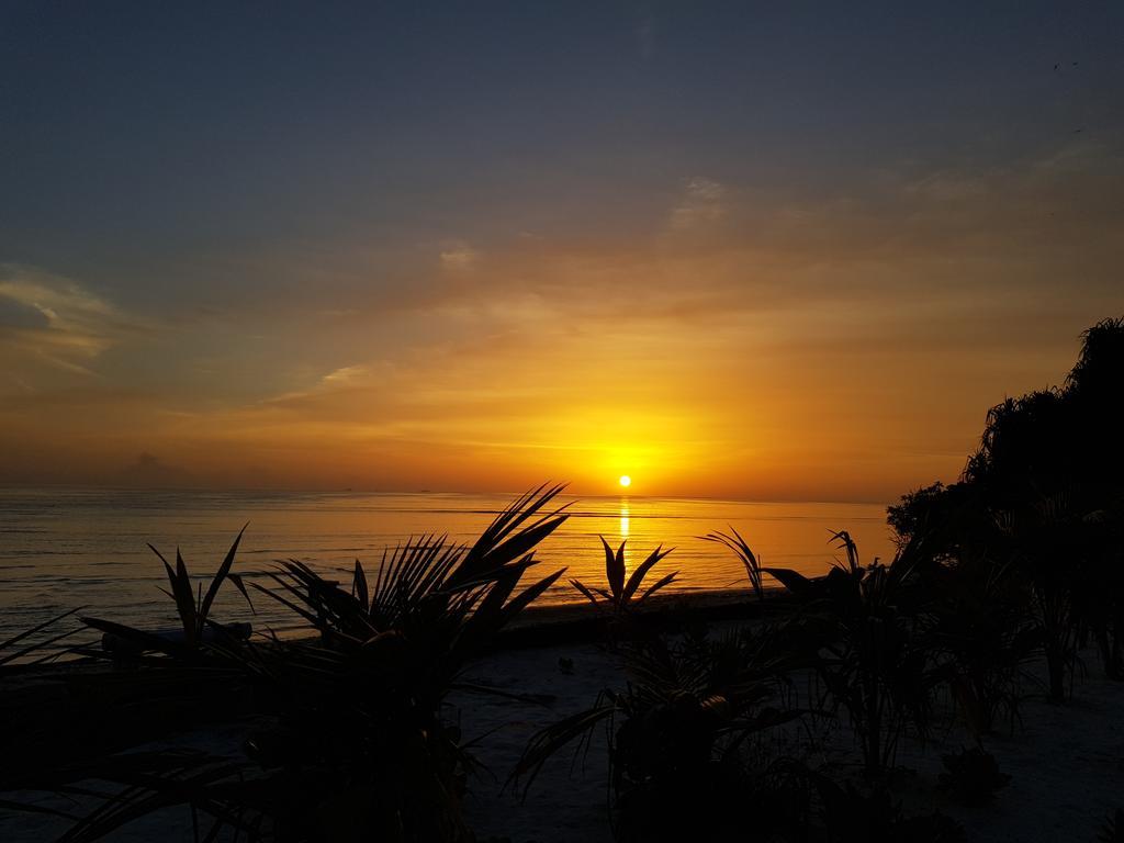 فندق Island Guest Maamendhoo المظهر الخارجي الصورة