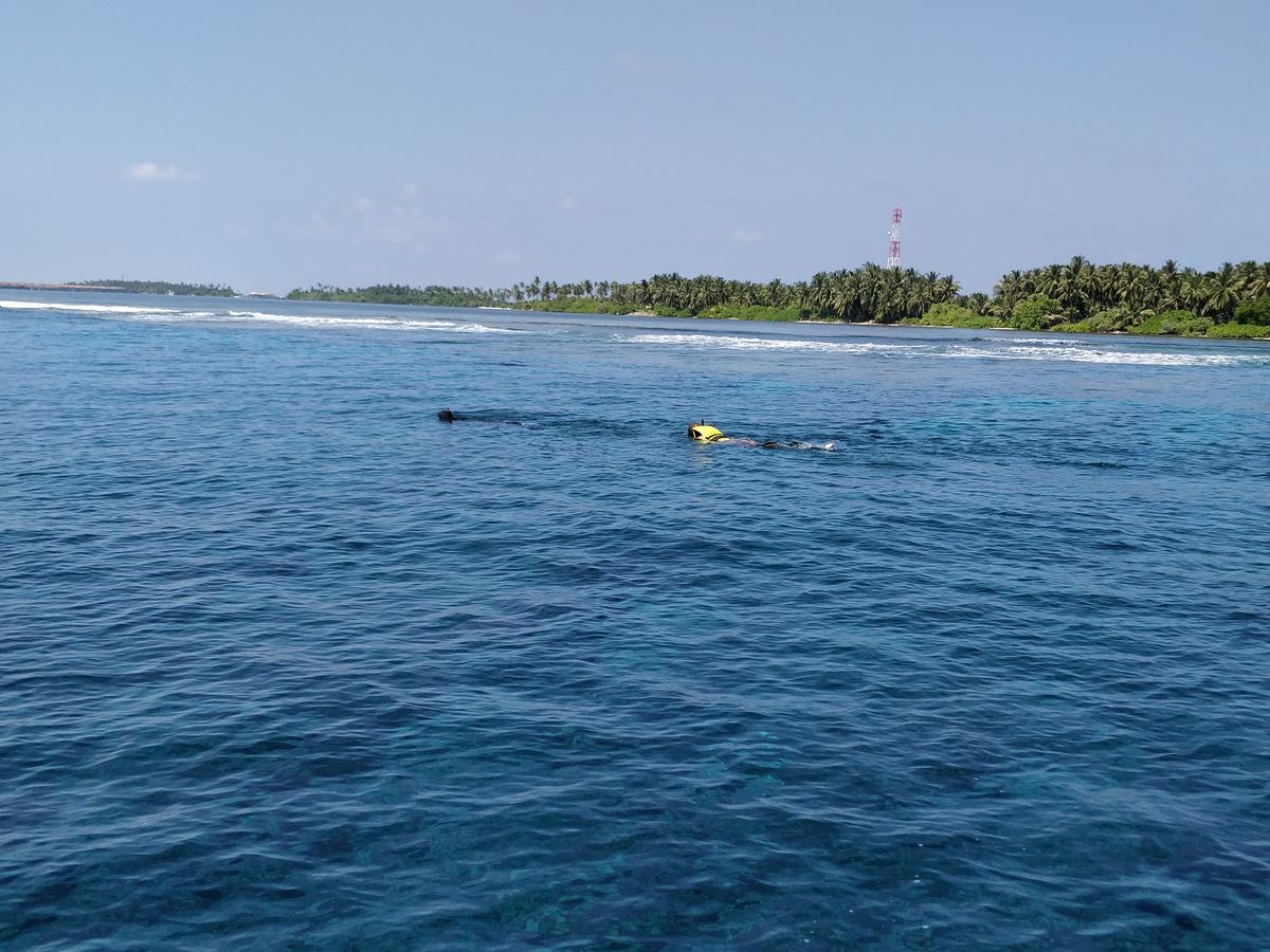 فندق Island Guest Maamendhoo المظهر الخارجي الصورة