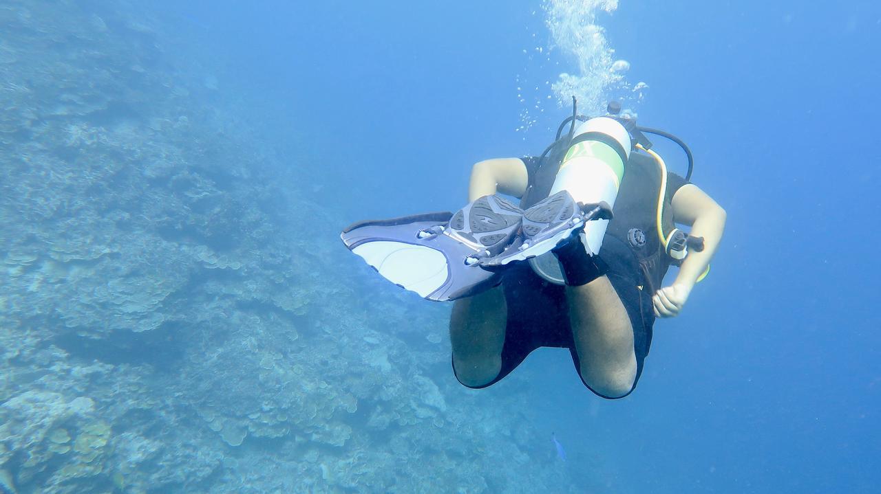 فندق Island Guest Maamendhoo المظهر الخارجي الصورة